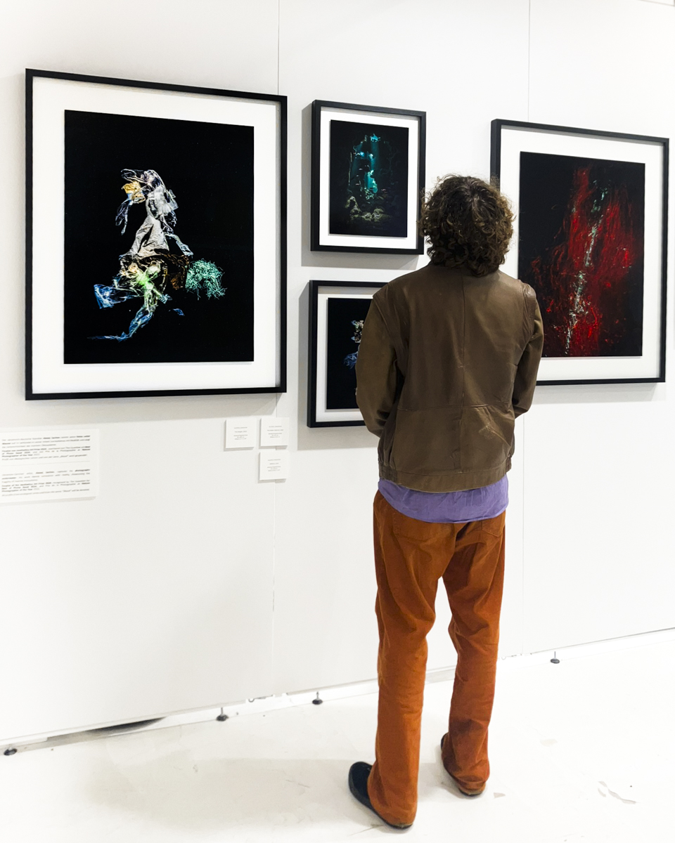 Underwater Photography Art by Alexej Sachov - Exhibited at ARTMUC