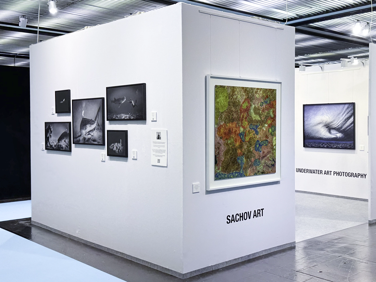 Galeria Boot - Experiences - Underwater Photography by Alexej Sachov