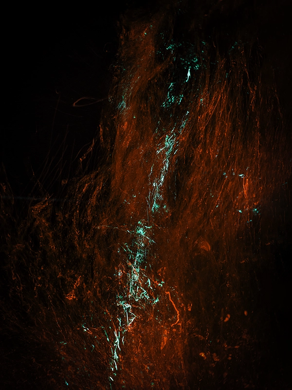 Abstract underwater art photograph from the series «Blood» by Alexej Sachov.