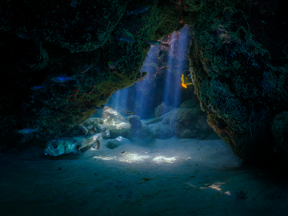 A Tale Told Underwater