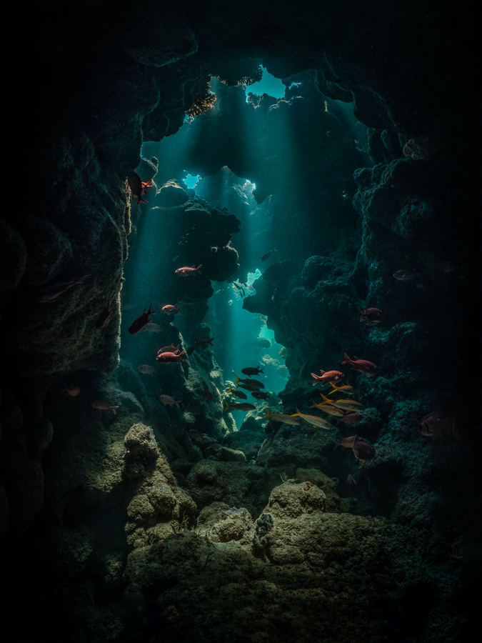 The Hidden World #1