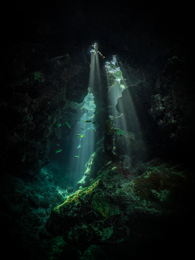 The Hidden World #2