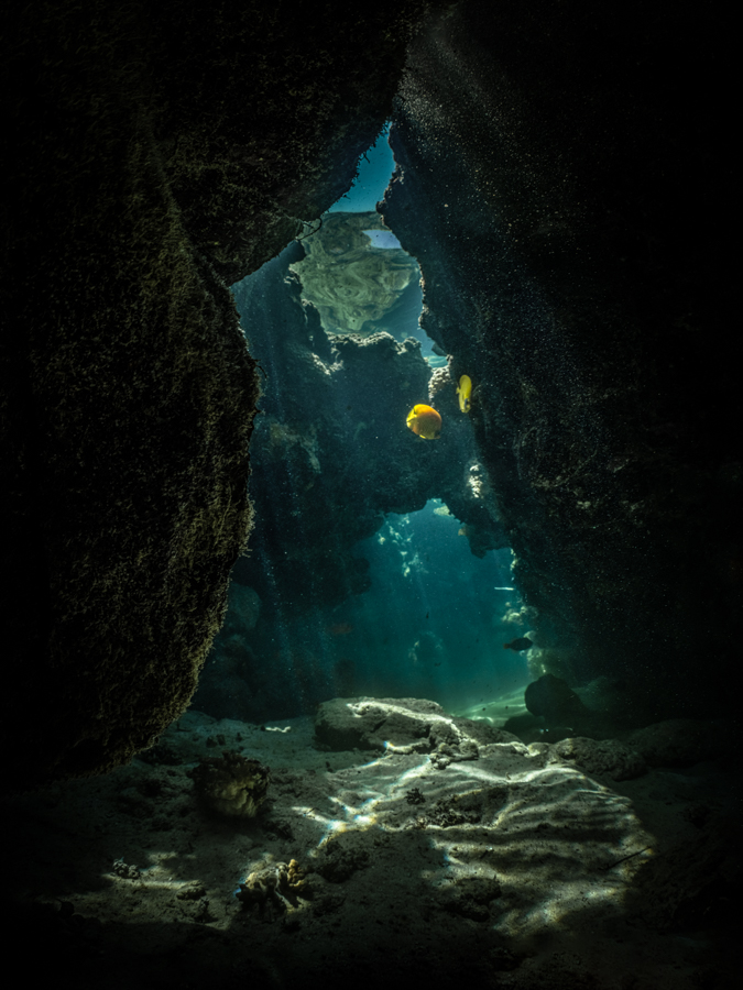 The Hidden World #3