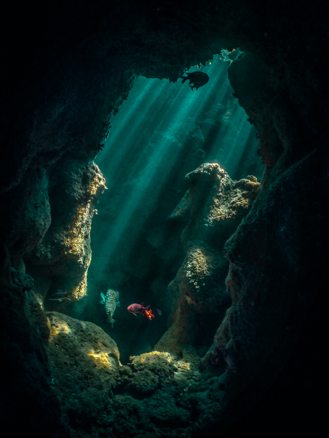 The Hidden World #4