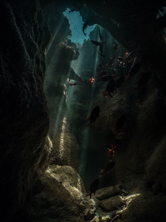 The Hidden World #5