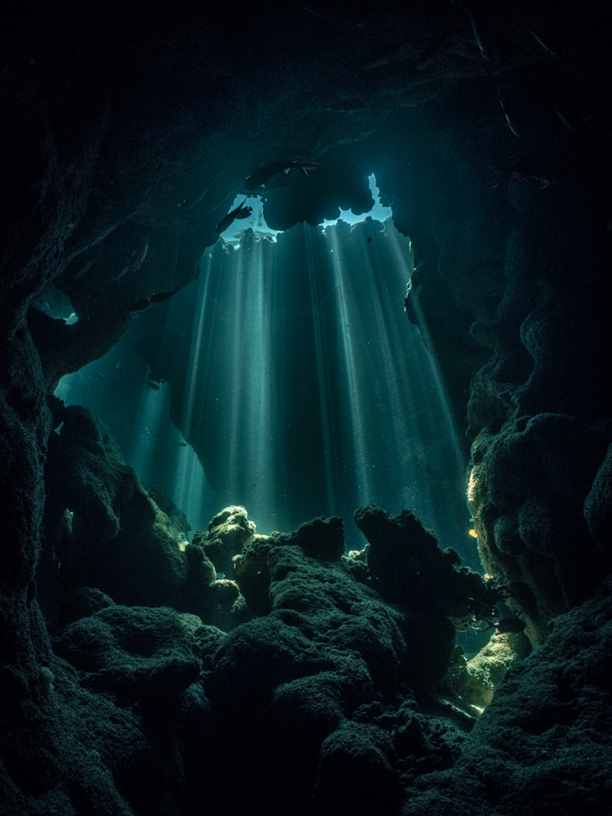 The Hidden World #6