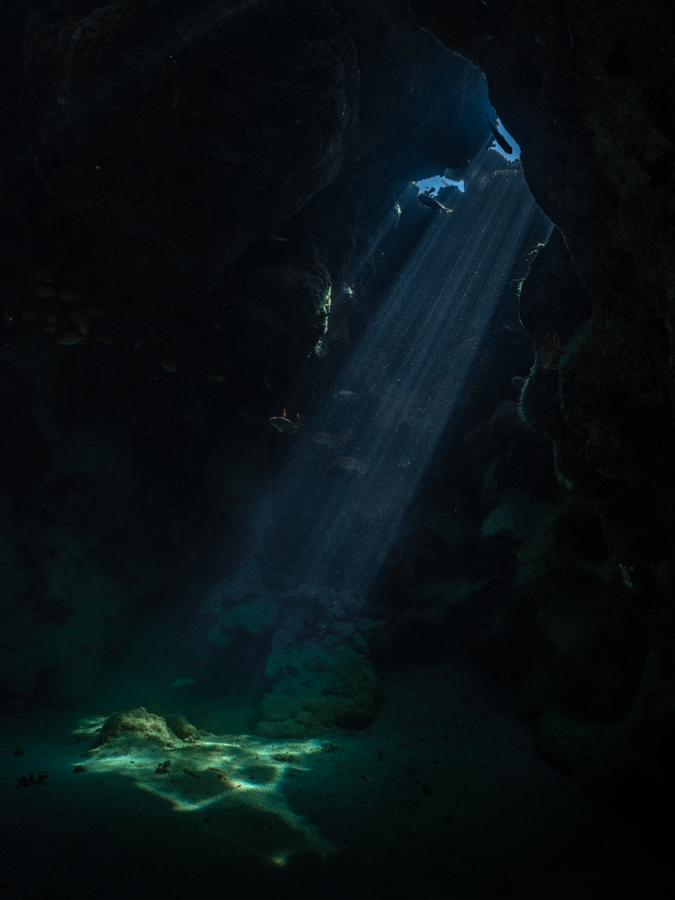 The Hidden World #8