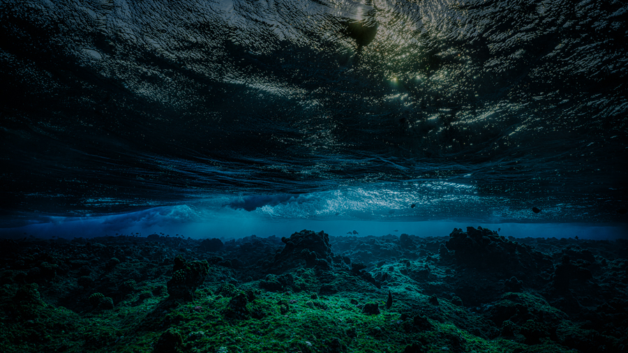 Sundown - Underwater Art Photography by Alexej Sachov