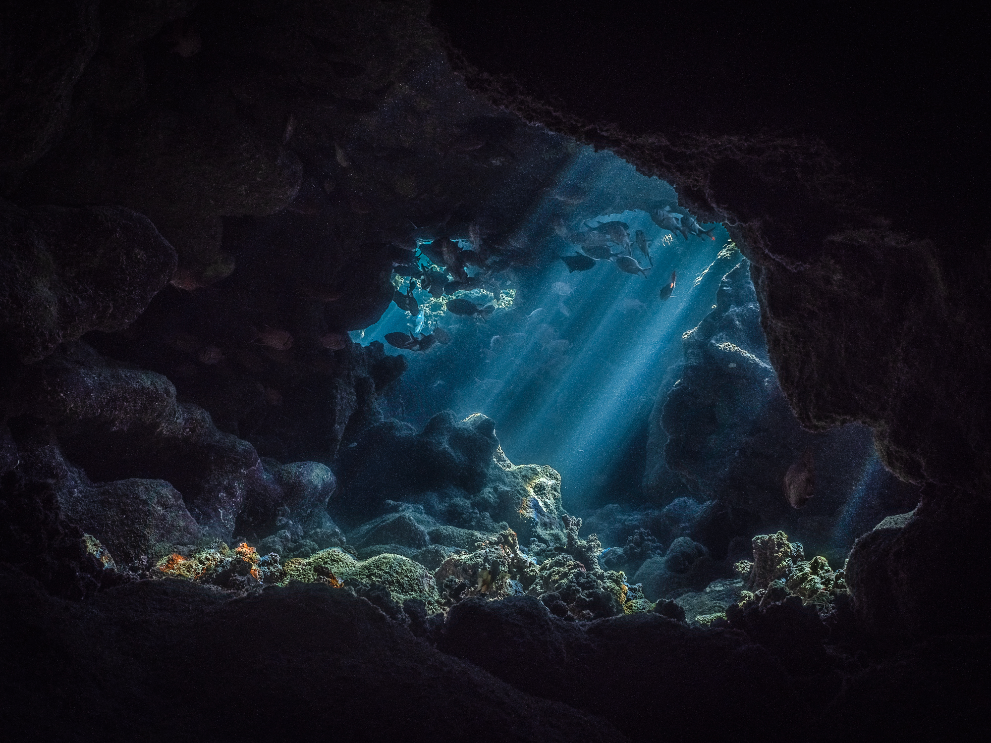 The Hidden World #8