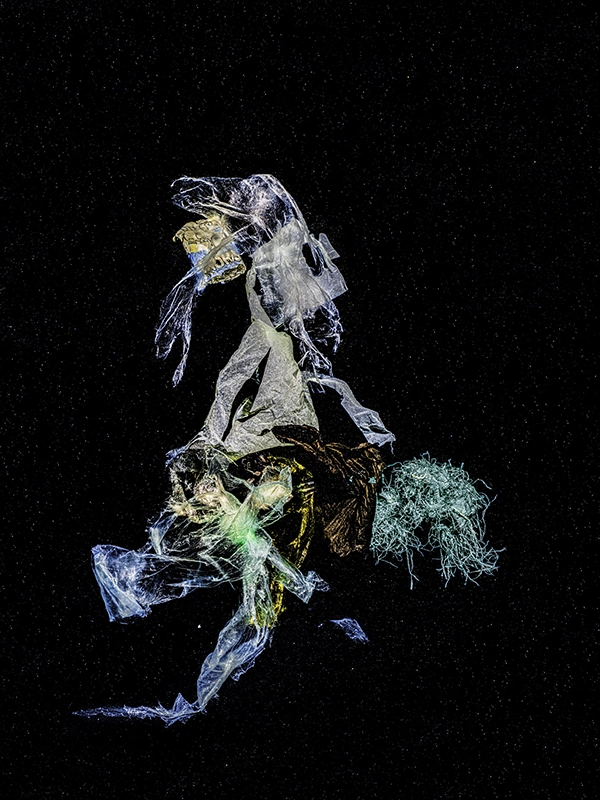 Conceptual ecological artwork from the underwater series «Chronicles of an Emerging Diversity» by Alexej Sachov.