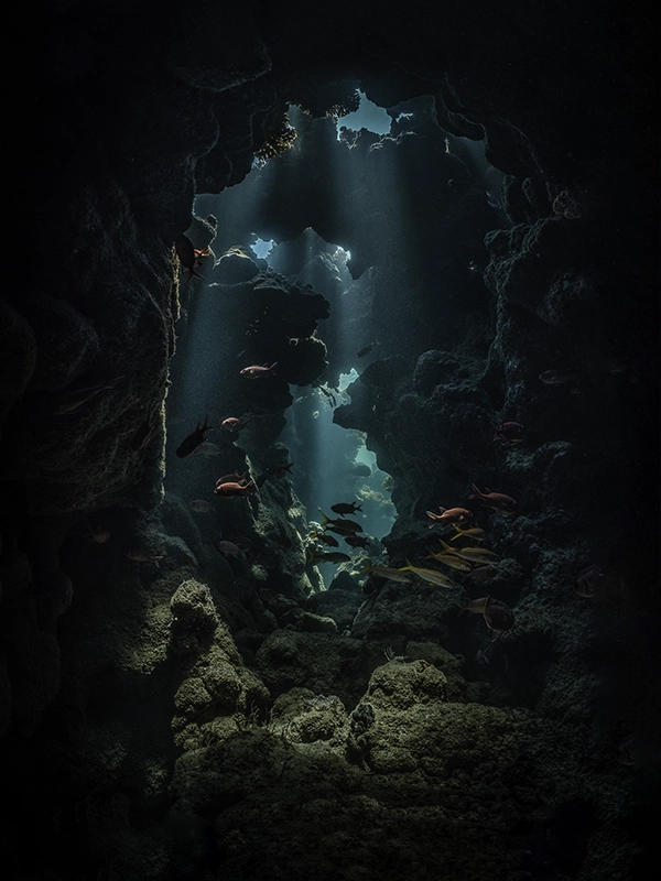 Underwater cave photograph from the series «The Hidden World» by Alexej Sachov.