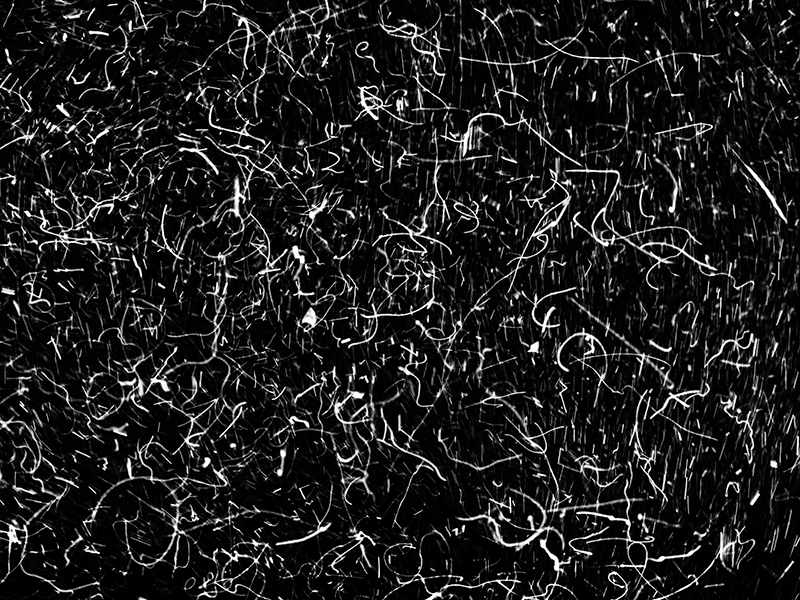 The Code (2022) by Alexej Sachov. Conceptual photography, long-exposure of bioluminescent movement during a night dive, from The Secret Code of Nature. Photo Basel 2026, Booth A9.