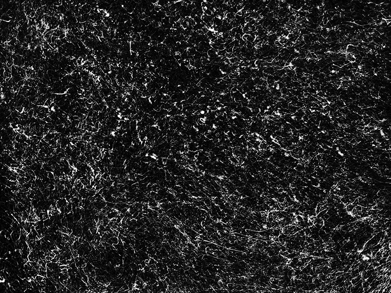 Micro Code (2022) by Alexej Sachov. Experimental photography, long-exposure night dive, The Secret Code of Nature. Photo Basel 2026, Booth A9.