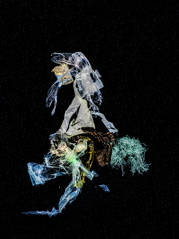The Knight (2023) by Alexej Sachov, conceptual photography, marine debris sculpture, Chronicles of an Emerging Diversity, Best of Photo Basel 2024. Resonant Light, Paris 2026.
