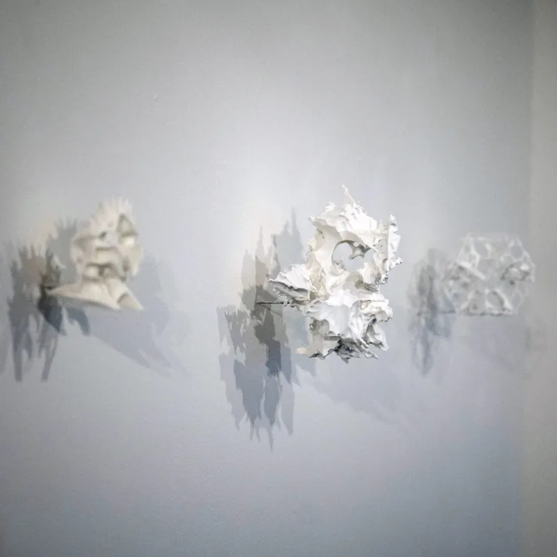 Shaul Tzemach, Resonant Light, Paris 2026